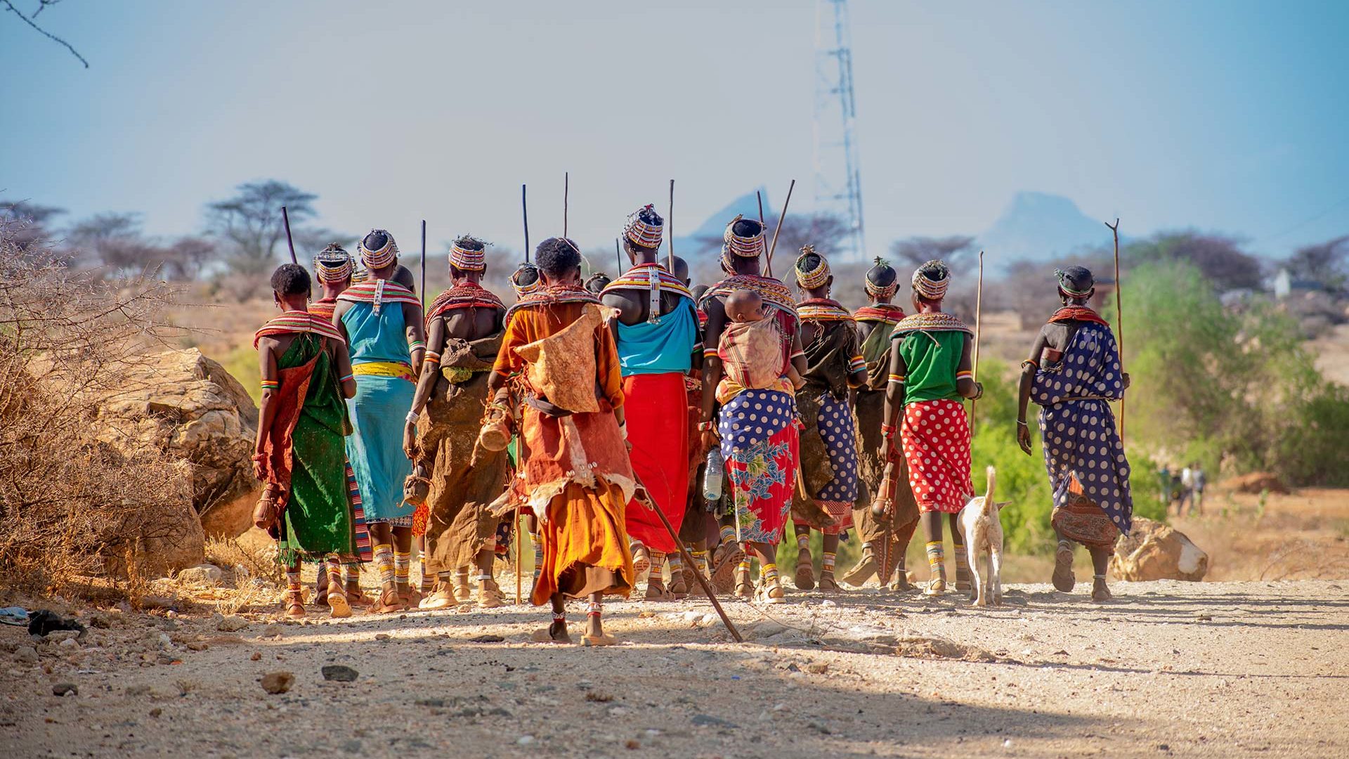 Traditional Samburu Women